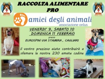 Raccolta alimentare Amici Degli Animali febbraio 2018 Eurospin via Stamira